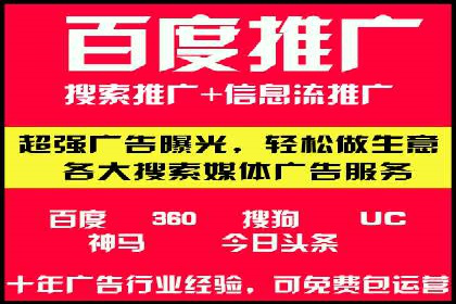 案例分析：高效信息流广告投放策略