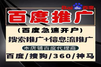 竞价SEM案例分享：行业霸主崛起之路